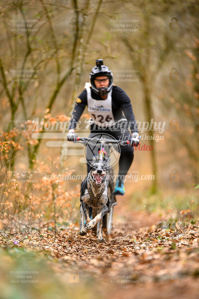 MompixPhotography_ReiatRennen2024_SO_Bike1H-48 | PayLife