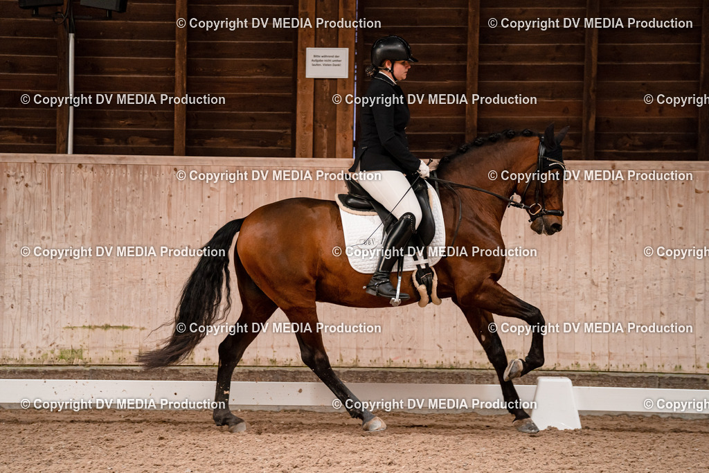 Dressur Tag 2-329 | dv-media-shop - Realisiert mit Pictrs.com