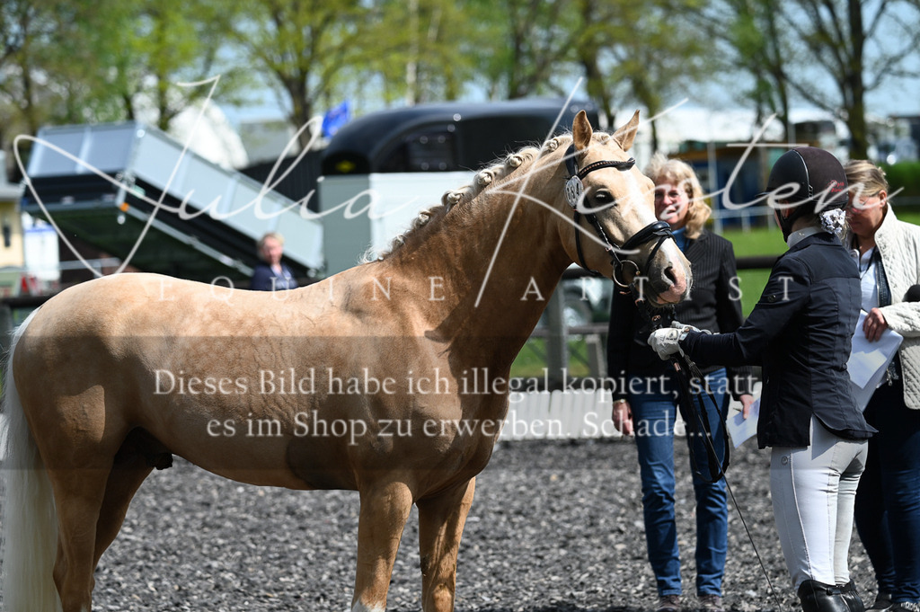 20230512_JK-Röhrsdorf-01-069 | Pferde- und Turnierfotografie in Westsachsen. Pferdeportraits, Auftragszeichnungen und intuitive Kunst.