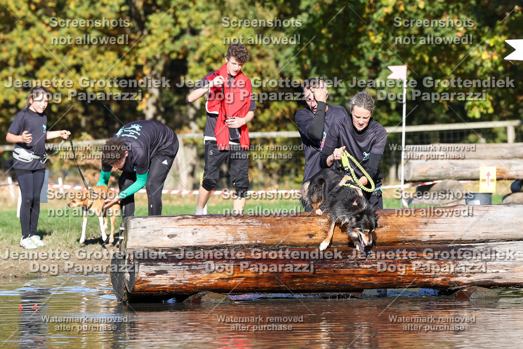 Dog Paparazzi - Strongdog 10-25-8948 | Dog Paparazzi Jeanette Grottendiek Fotografie & Videografie - Realisiert mit Pictrs.com