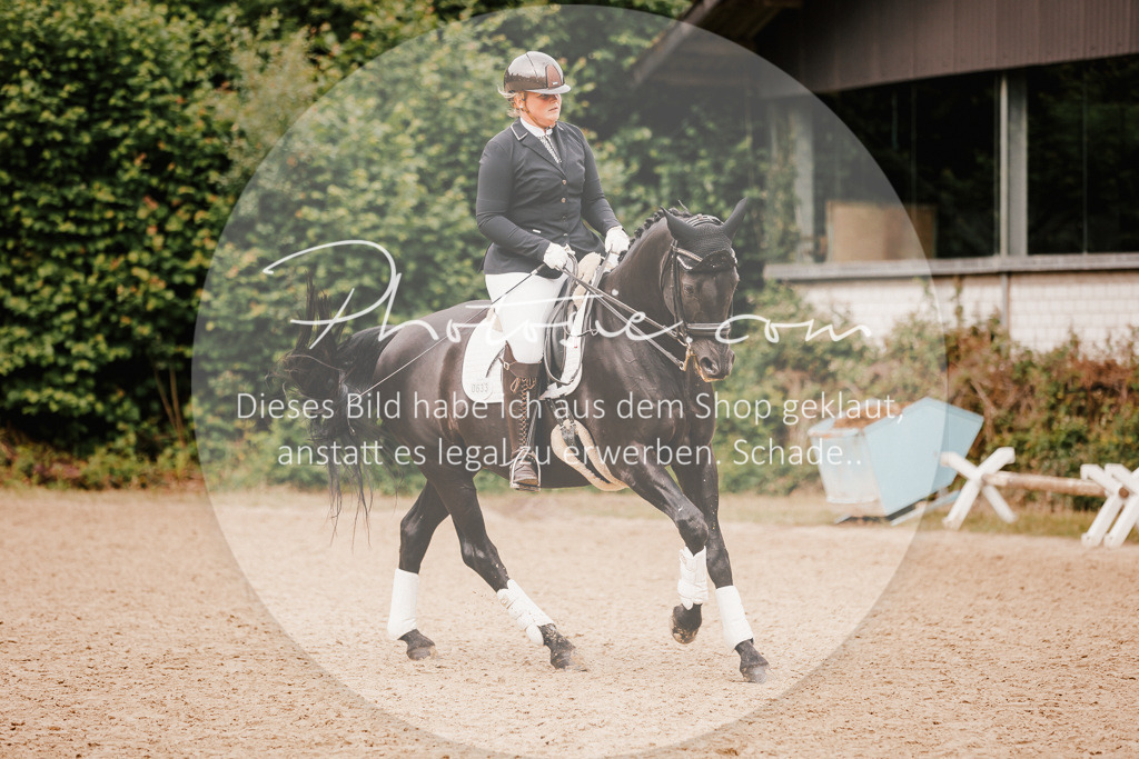 3I6A7905 | Stimmungsvolle Portraits und Reitsportfotografie im Ruhrgebiet und im Münsterland.

Pferdefotografie, Hundefotografie, Tierfotografie, Reportagen, Portraits von Tier und Mensch, Turnierfotografie in Bochum, Recklinghausen, Marl, Haltern am See, Dülmen.. - Realisiert mit Pictrs.com