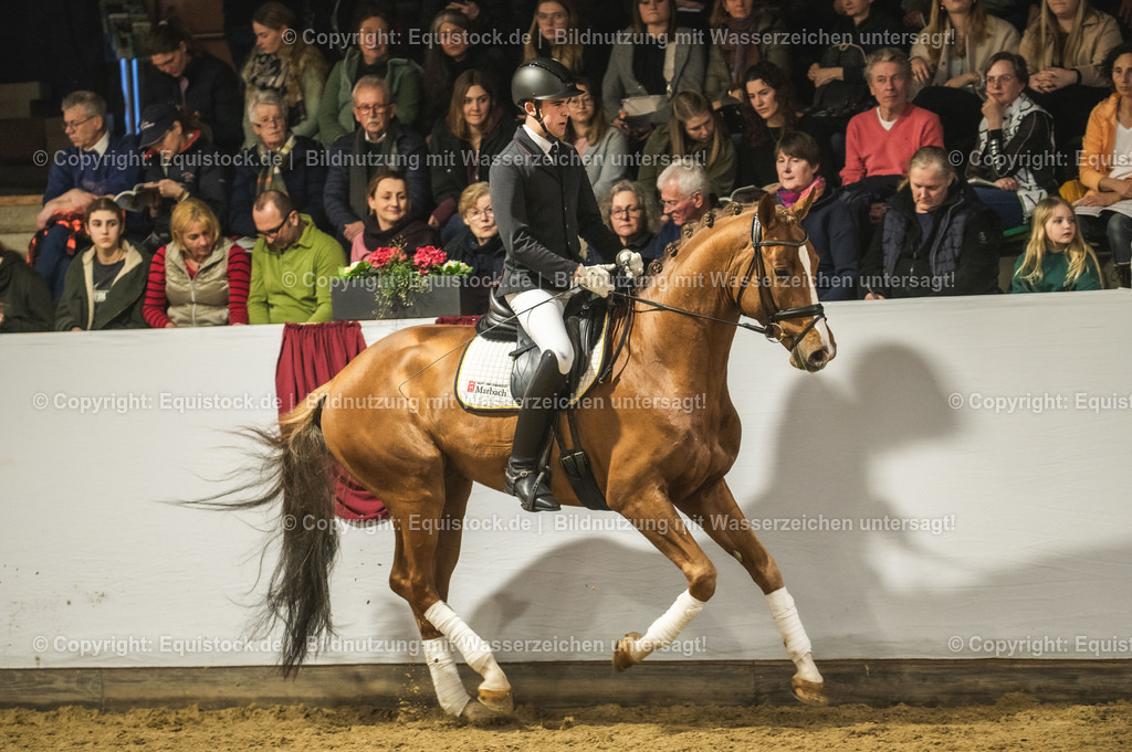 20240302_Hengstvorstellung_Marbach_TOMsPiC_0343-2 | equistock