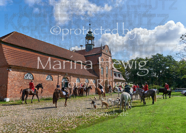 DSC01364_Marina Hewig | Fotografie, FotoArt, PferdesportArt, Pferdesportfotografie, Landschaftsfotografie, Reisefotografie, Reise, Pferde - Realisiert mit Pictrs.com