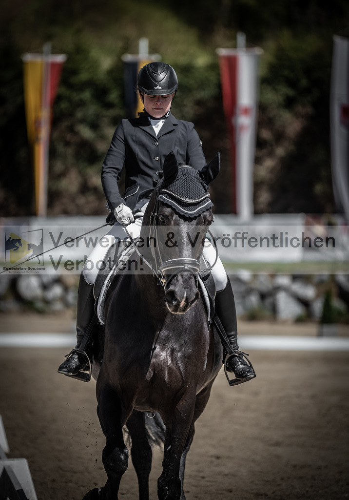 DSC_0146 | equestrian-live-com