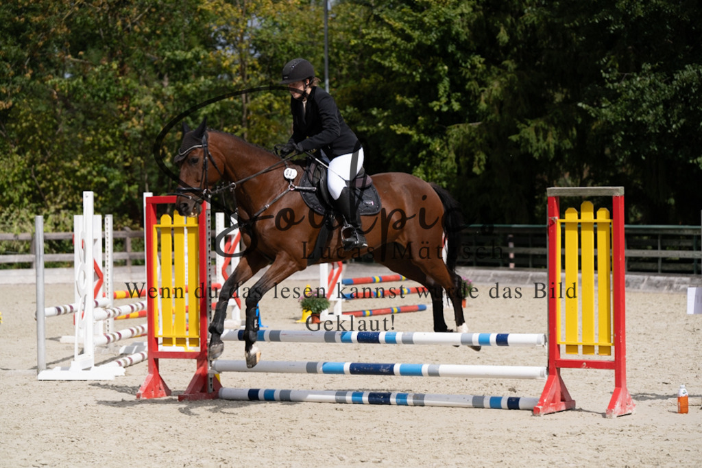 A7V07192 | Pferdefotograf