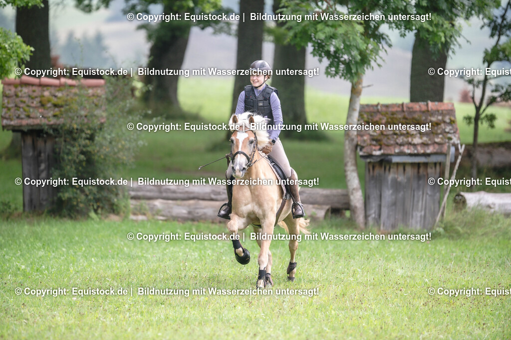 20250726_Vielseitigkeitslehrgang-Marbach_0153 | Foto: Thomas Hartig