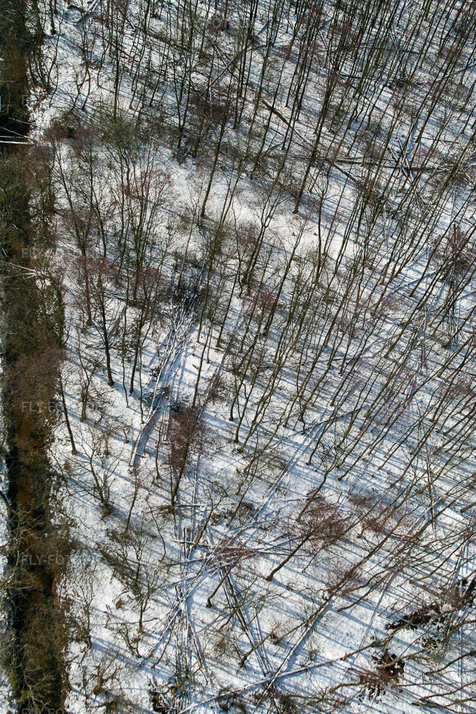 Bienwald im Winter bei Schnee | Luftbild: Bienwald im Winter bei Schnee im Ortsteil Büchelberg in Wörth im Bundesland Rheinland-Pfalz in Deutschland. Foto: IMG_1128.jpg vom 05.03.2006 durch Werner Riehm/FLY-FOTO.de - Realisiert mit Pictrs.com