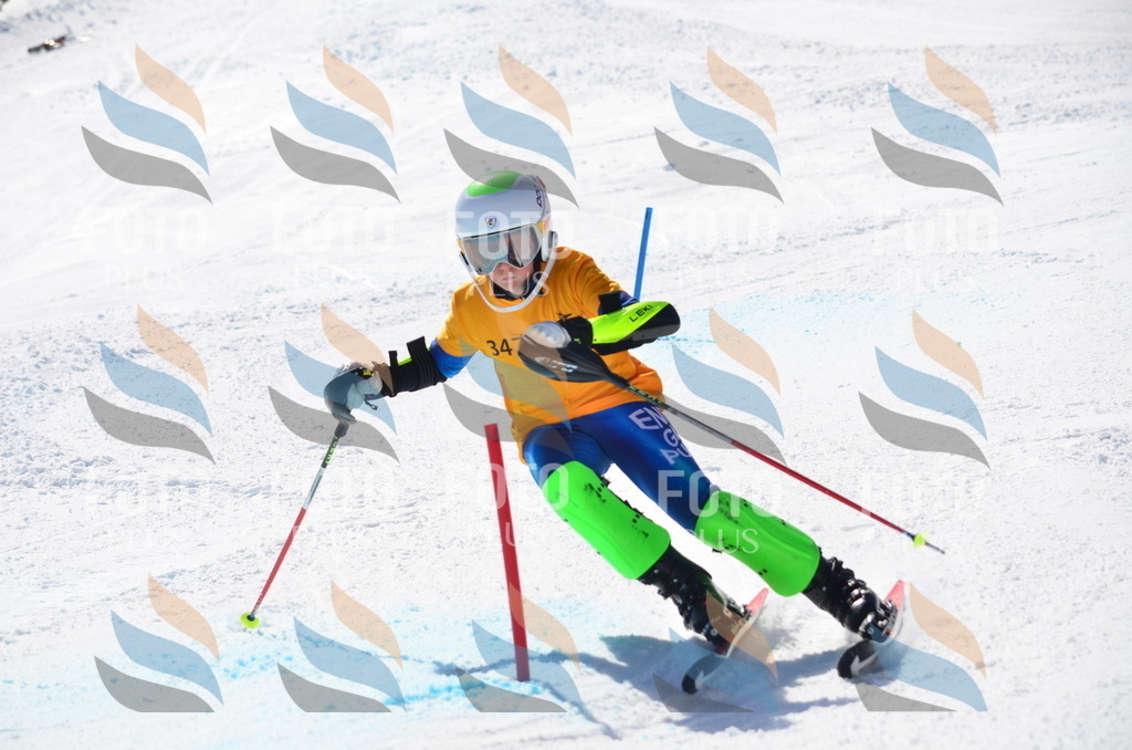 C9774 | holidayphoto