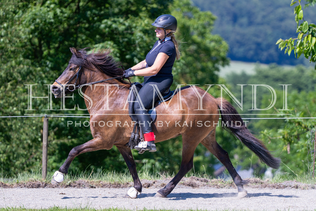 KAI05926 | Ihr sucht einen Fotografen für eure nächste OSI? Ich begleite auch euer Turnier für Islandpferde fotografisch.  - Realisiert mit Pictrs.com