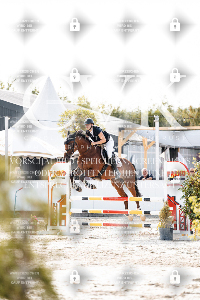 CK906100 | Turnierfotografie Pferdefotografie Trier Rheinland-Pfalz Pferdesport Reitsport Tierfotografie Sportfotografie Pferdevideo Pferdevideografie Equestrianvideography equestrianphotography  - Realisiert mit Pictrs.com