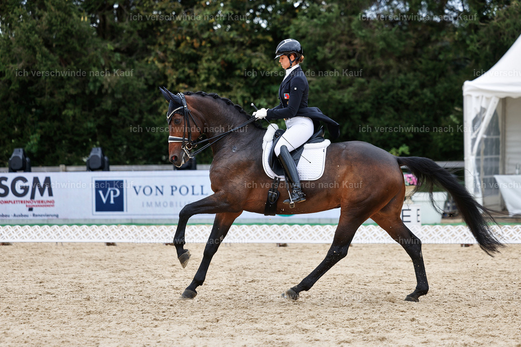11-110-Dressur S___-StoibPH-1369 | working equitationturnier fotograf videograf stoibphotography marixx film working equitation deutschland reitsport turnierfotografie eventfotografie equestrian events