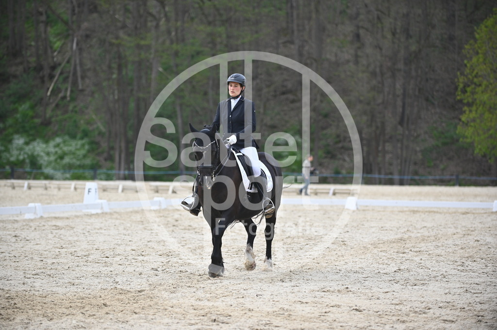 DSC_5166 | sattelsport - Realisiert mit Pictrs.com