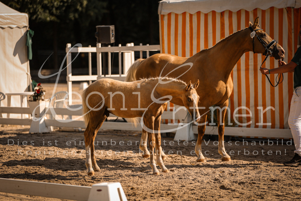 11.DoRP00087 | Leoni Ertmer Photography - Realisiert mit Pictrs.com