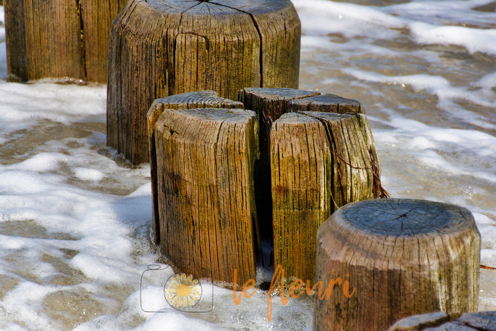 DSC_0334-NEF_DxO_DeepPRIME (1) | Dies ist der Shop von Florian Blum - le fleuri. Langenthal, Bern, Schweiz. Sie können hier meine oder ihre eigenen Fotos als Fotoprodukte kaufen. Tassen, Schlüsselanhänger, Taschen etc. können Sie hier gestalten.  - Realisiert mit Pictrs.com