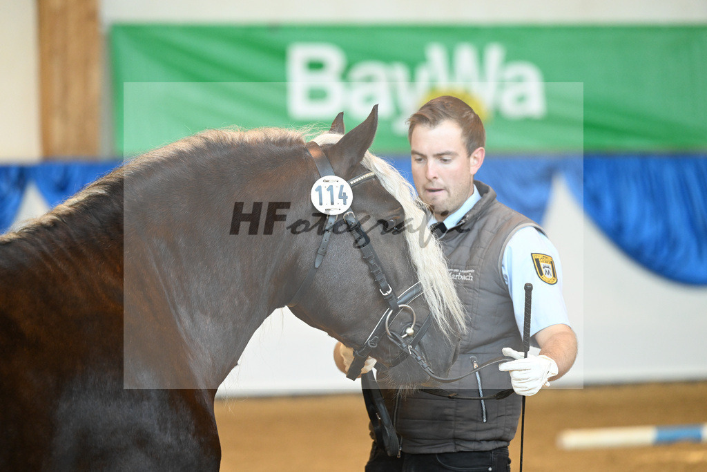 Kat-Nr. 114 Markgraf_HLG Marbach_53220811 | hf-fotografie - Realizzato con Pictrs.com