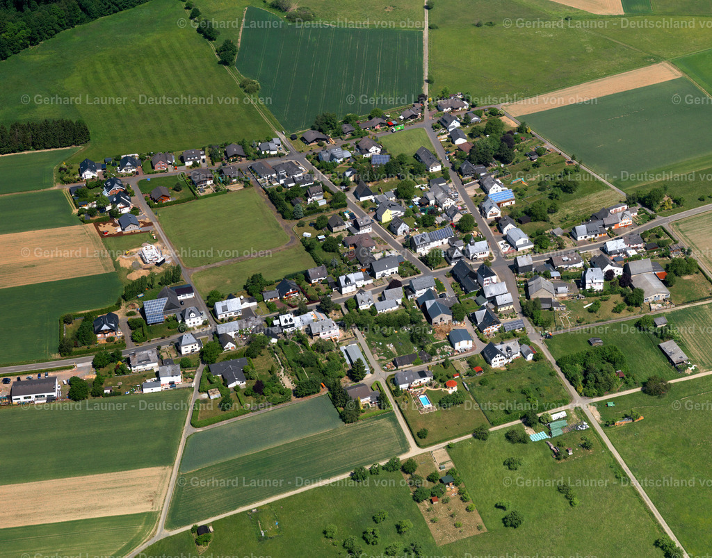 Reidenhausen-3123093 | Reidenhausen