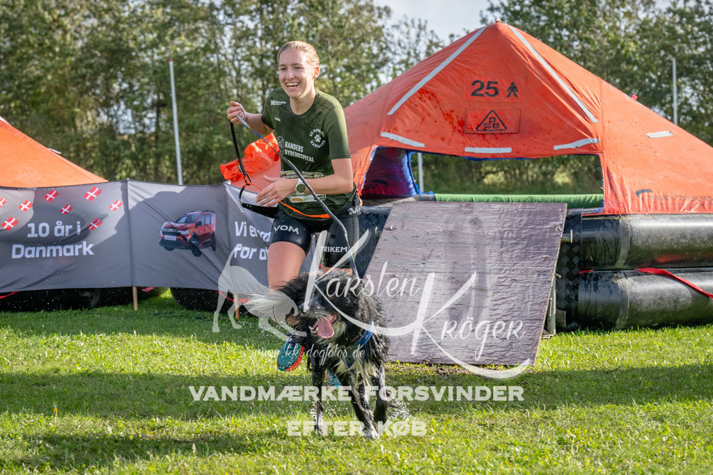 1207-92554 | kk-dogfotos