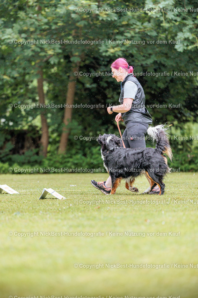 RO-Blumenthal-2026-Nickbest-Hundefotografie-3797 | Dein Hund! Dein Moment! Deine Erinnerungen! Hundefotografie in Bremen Blumenthal. Ich fange die besonderen Momente deines Vierbeiners ein – ob Indoor mit Blitzanlage oder in der freien Natur. Sicher dir dein Moment und dein Termin für eure Erinnerungen.