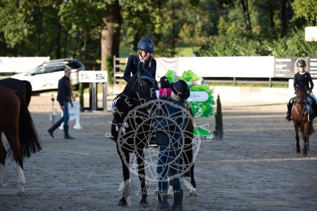 2B4A4040 | pixelfaenger - Realisiert mit Pictrs.com