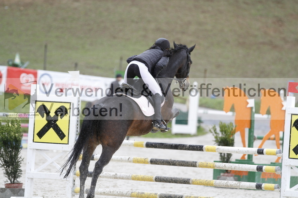 _MG_1398 | equestrian-live-com