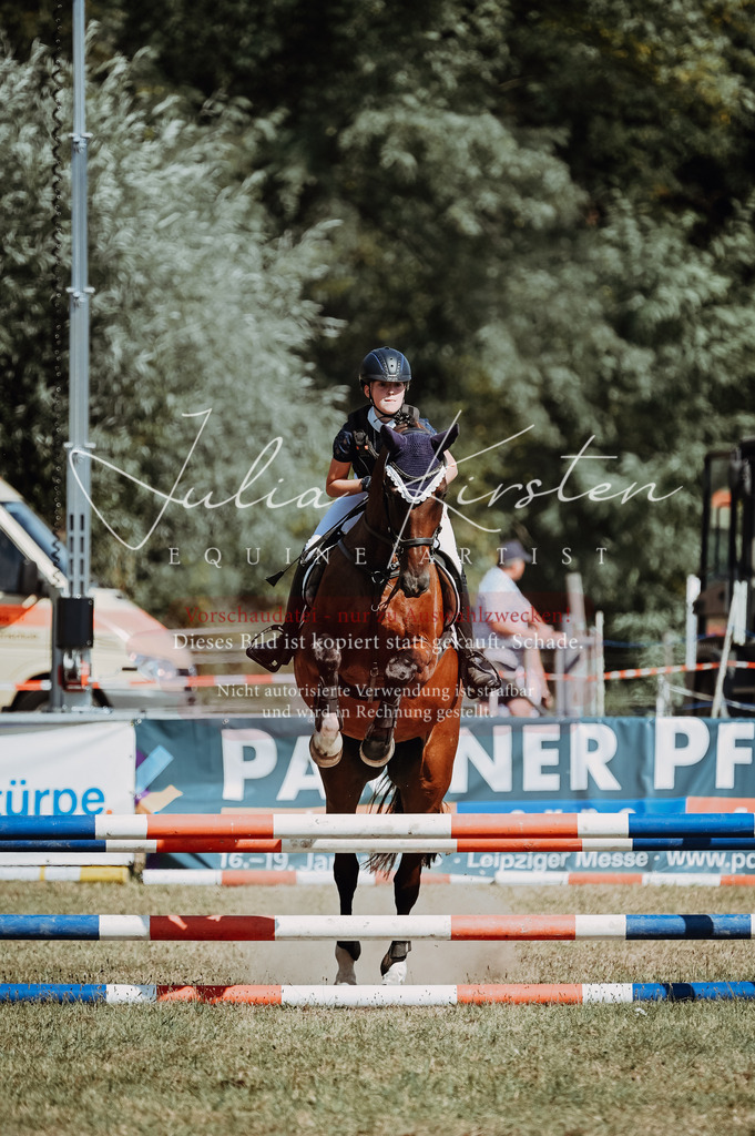 DSC_9802 | Pferde- und Turnierfotografie in Westsachsen. Pferdeportraits, Auftragszeichnungen und intuitive Kunst.
