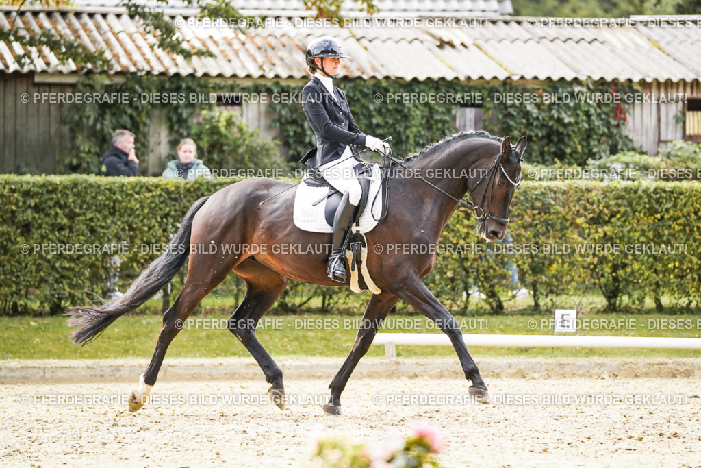 DSC00856 | Pferdegrafie