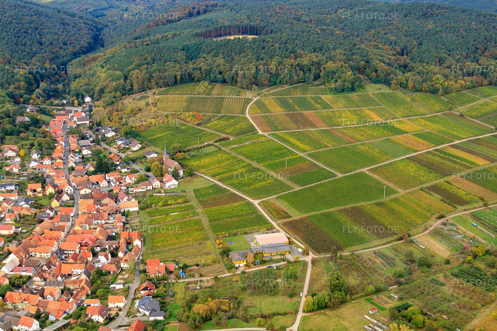 Luftbild: Weingut Cuntz Sonnenhof im Ortsteil Rechtenbach in Schweigen-Rechtenbach im Bundesland Rheinland-Pfalz in Deutschland. Foto: IMG_22457.jpg vom 15.10.2009 durch Werner Riehm/FLY-FOTO.de