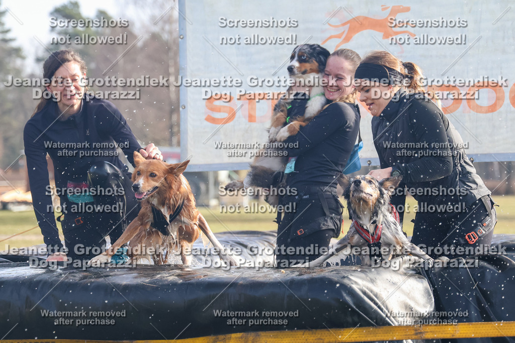 Dog Paparazzi - Strongdog North Mrz26-298 | Dog Paparazzi Jeanette Grottendiek Fotografie & Videografie - Realisiert mit Pictrs.com