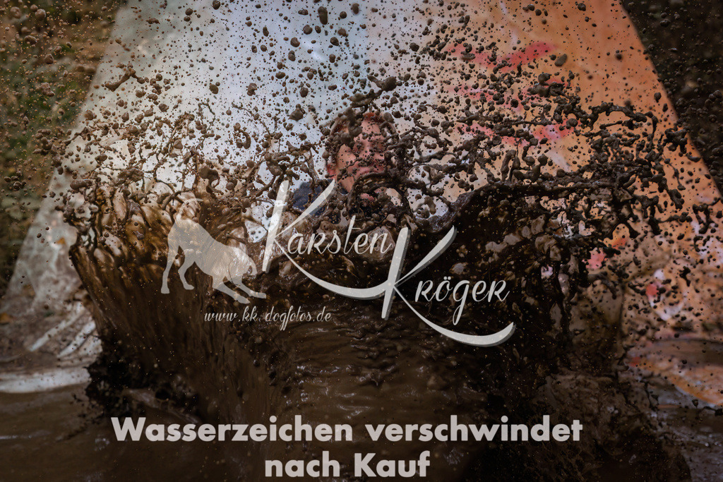 1024_ZZ93340 | kk-dogfotos
