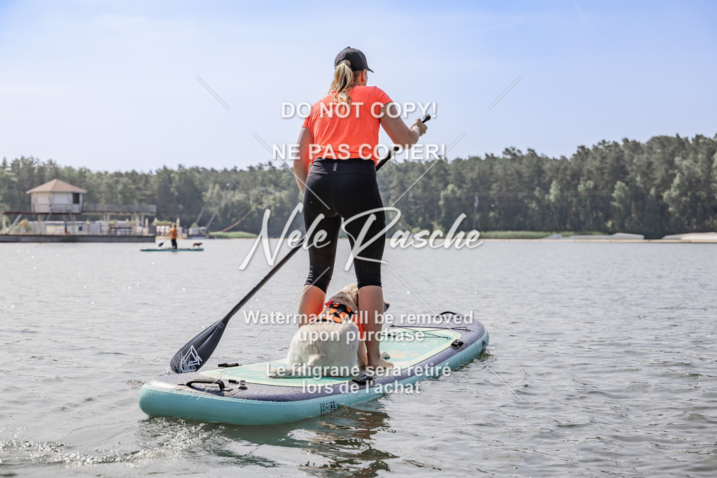 BUHU_SUP_405 | nelerasche
