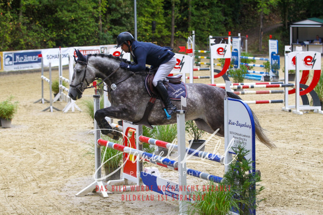 DKP40386 | Turniersportfotografie; Pferdefotografie; Dressurfotografie