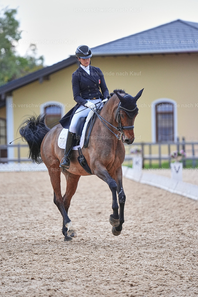 12-186-DRESSUR  S___  -Marixx-5259 | working equitationturnier fotograf videograf stoibphotography marixx film working equitation deutschland reitsport turnierfotografie eventfotografie equestrian events