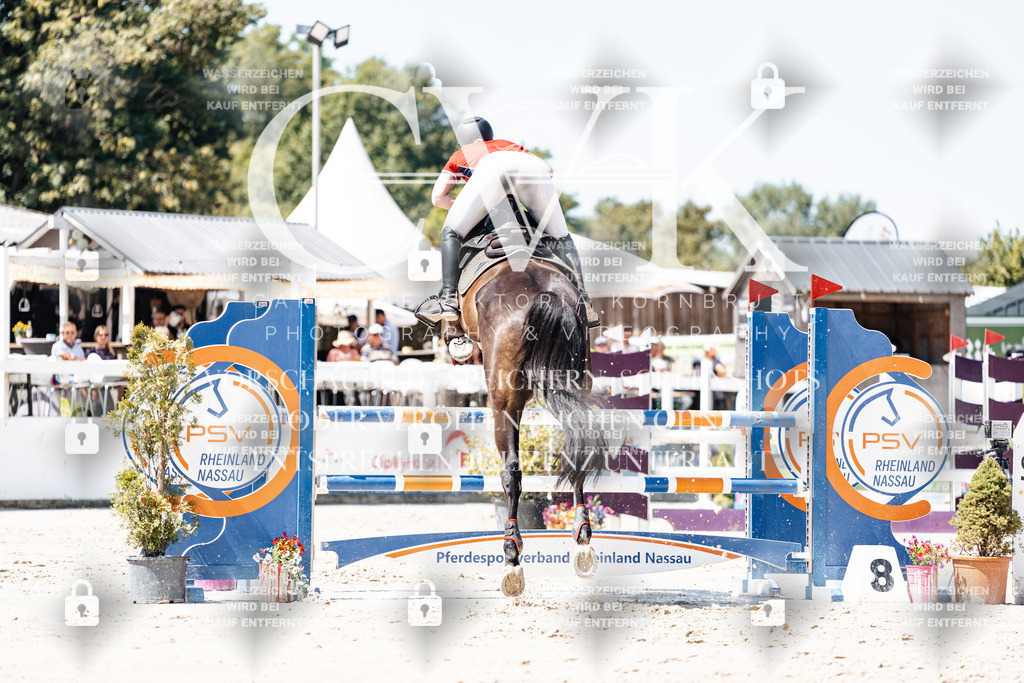 CK909724 | Turnierfotografie Pferdefotografie Trier Rheinland-Pfalz Pferdesport Reitsport Tierfotografie Sportfotografie Pferdevideo Pferdevideografie Equestrianvideography equestrianphotography  - Realisiert mit Pictrs.com