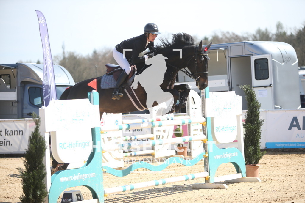 PP014102 | Willkommen bei Brunnmayr - Design & Fotografie – Ihrem Spezialisten für Reitturniere und Pferdeveranstaltungen in Oberösterreich, Salzburg und Bayern! Seit über 17 Jahren sind wir leidenschaftlich dabei.