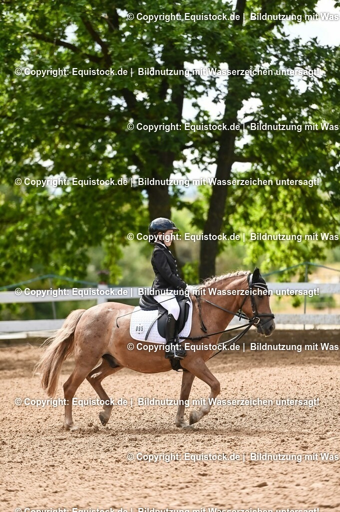 20230716_10-3_Reiter-WB Schritt - Trab - Galopp_0161 | equistock