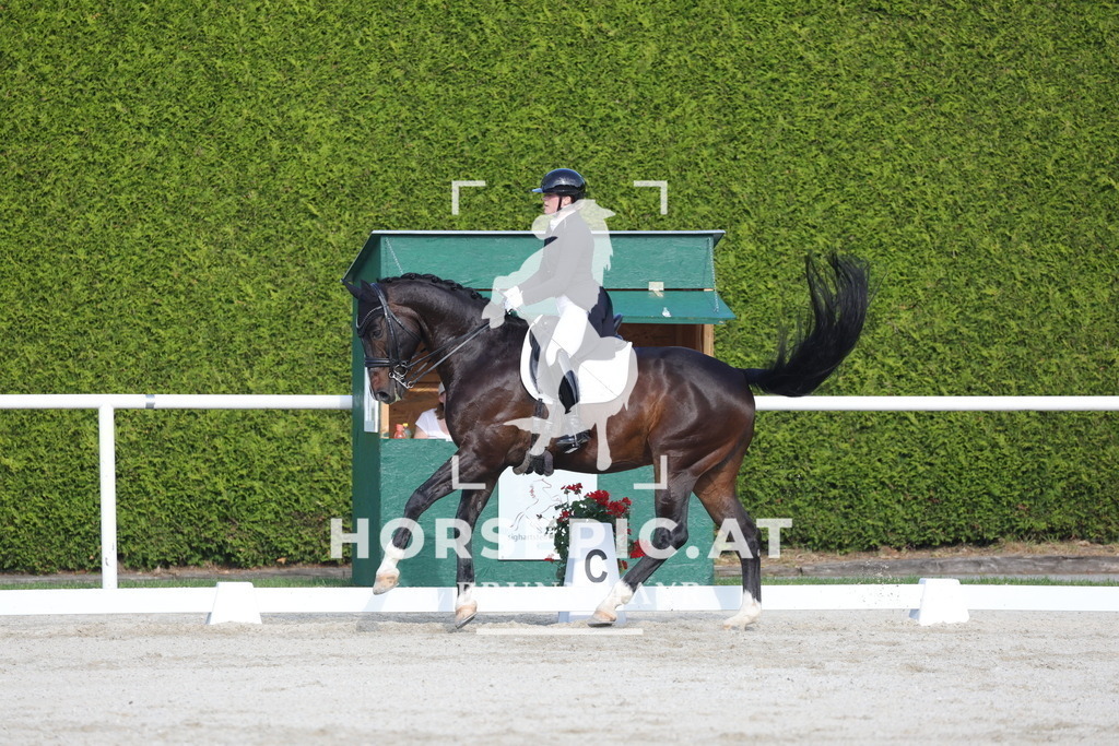 0P6A3774 | Willkommen bei Brunnmayr - Design & Fotografie – Ihrem Spezialisten für Reitturniere und Pferdeveranstaltungen in Oberösterreich, Salzburg und Bayern! Seit über 17 Jahren sind wir leidenschaftlich dabei.