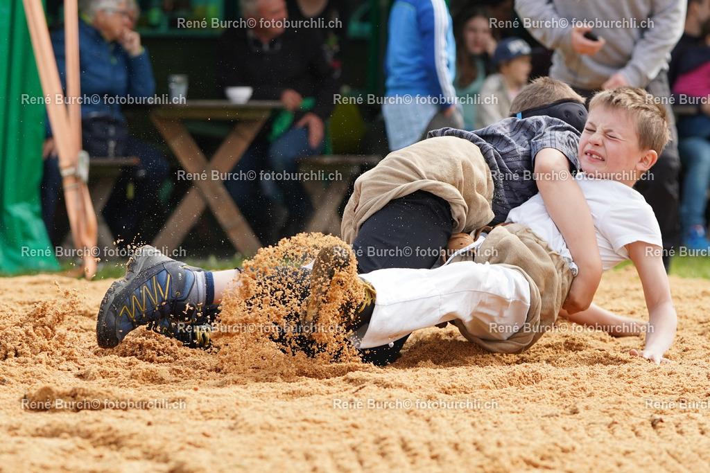 20220423-DSC07877 (2) | René Burch leidenschaftlicher Fotograf aus Kerns in Obwalden.  Hier finden sie Sport, Landschaft und Natur Fotografie.
 - Realisiert mit Pictrs.com