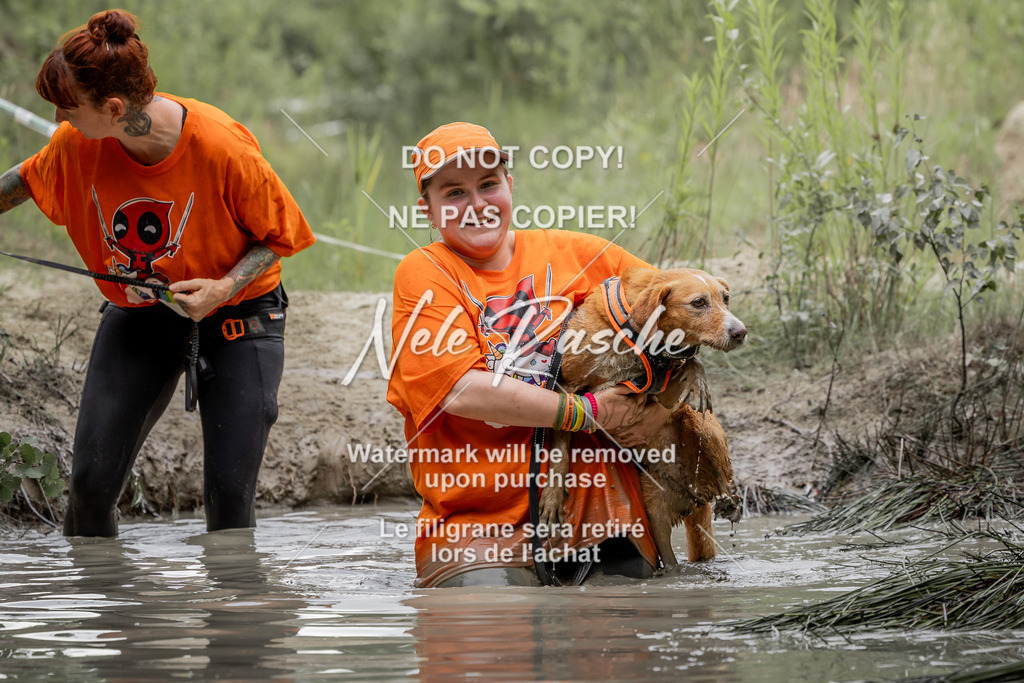 nelerasche_so1515-1530_147 | nelerasche