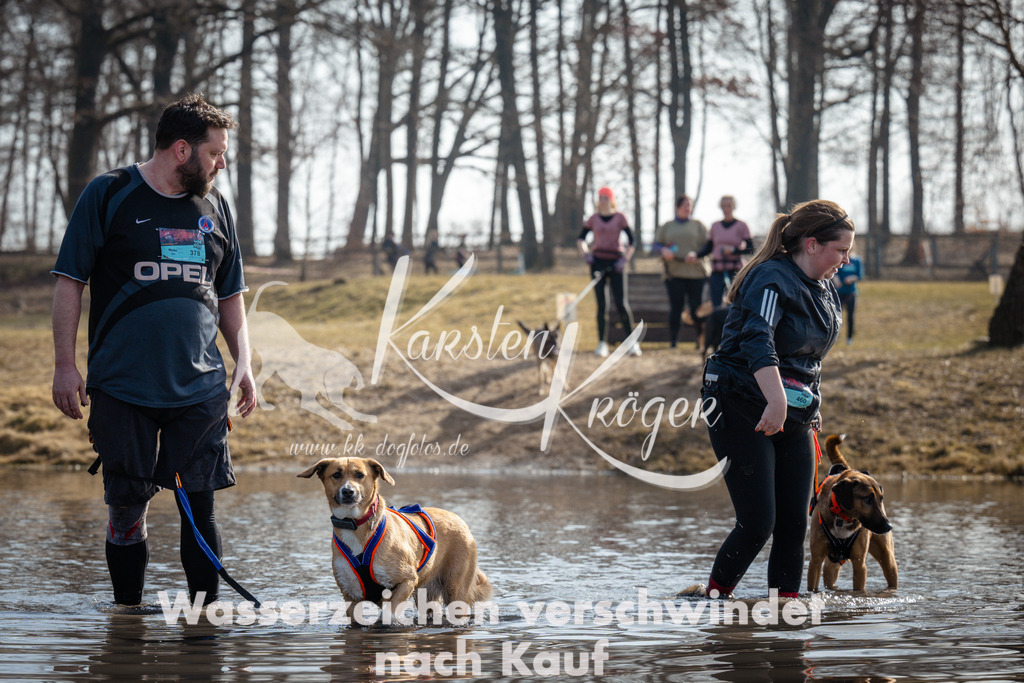 1130_ZZ94864 | kk-dogfotos