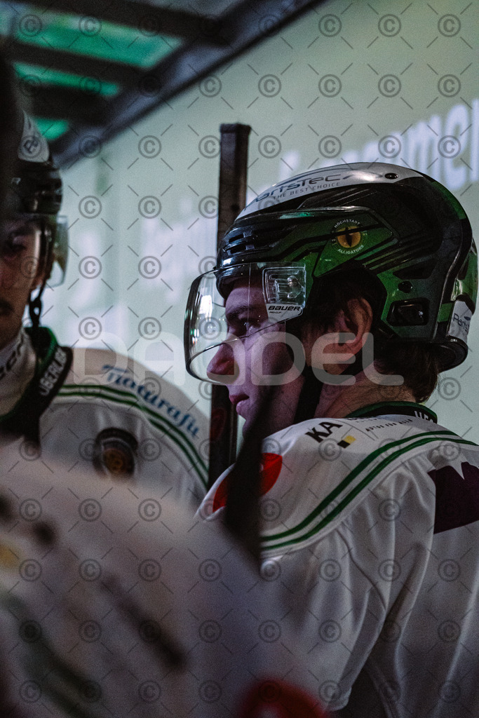 Erding_vs_Alligators_02_01_2026-20 | Höchstadt Alligators Fotogalerie: Eishockey-Action aus Franken. Professionelle Spielfotos, Portraits & Stadionbilder zum Download. Jetzt entdecken! - Realisiert mit Pictrs.com