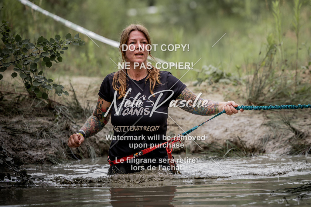 nelerasche_so0800-0930_206 | nelerasche