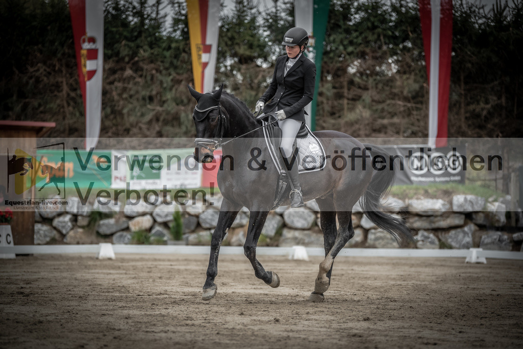 DSC_9294 | equestrian-live-com