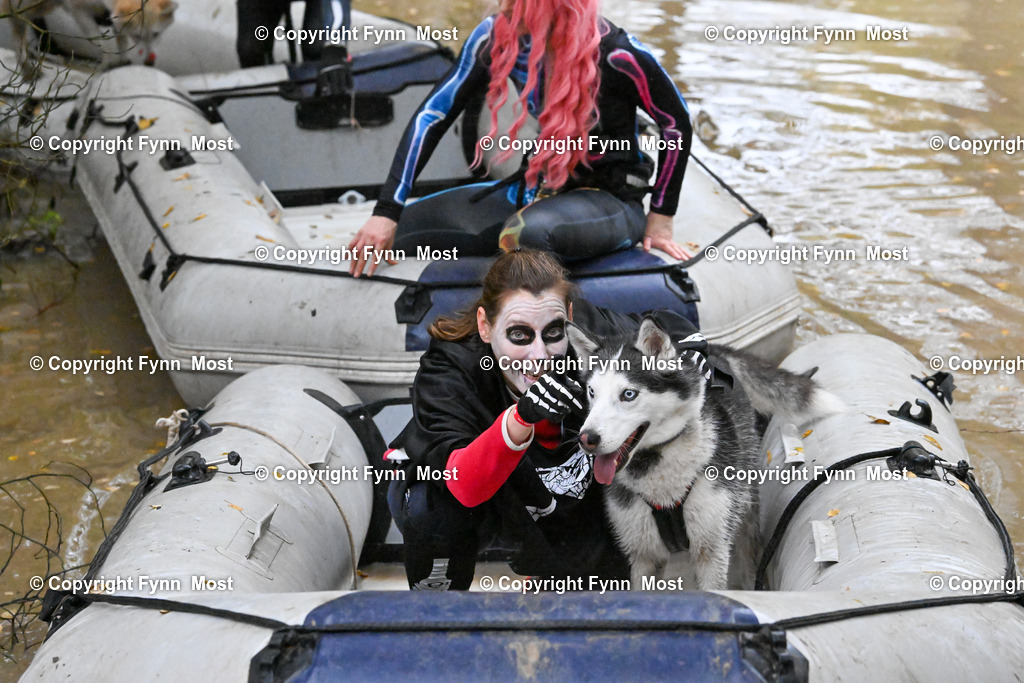 DSC_6694 | Hallo und herzlich Willkommen auf meiner Shop-Seite Fynn Most.

Ich wünsche Dir viel Spaß beim stöbern durch die Bilder, wenn Du Fragen hast oder Bilder vermisst, kannst du mir gerne eine Nachricht schreiben. - Realisiert mit Pictrs.com