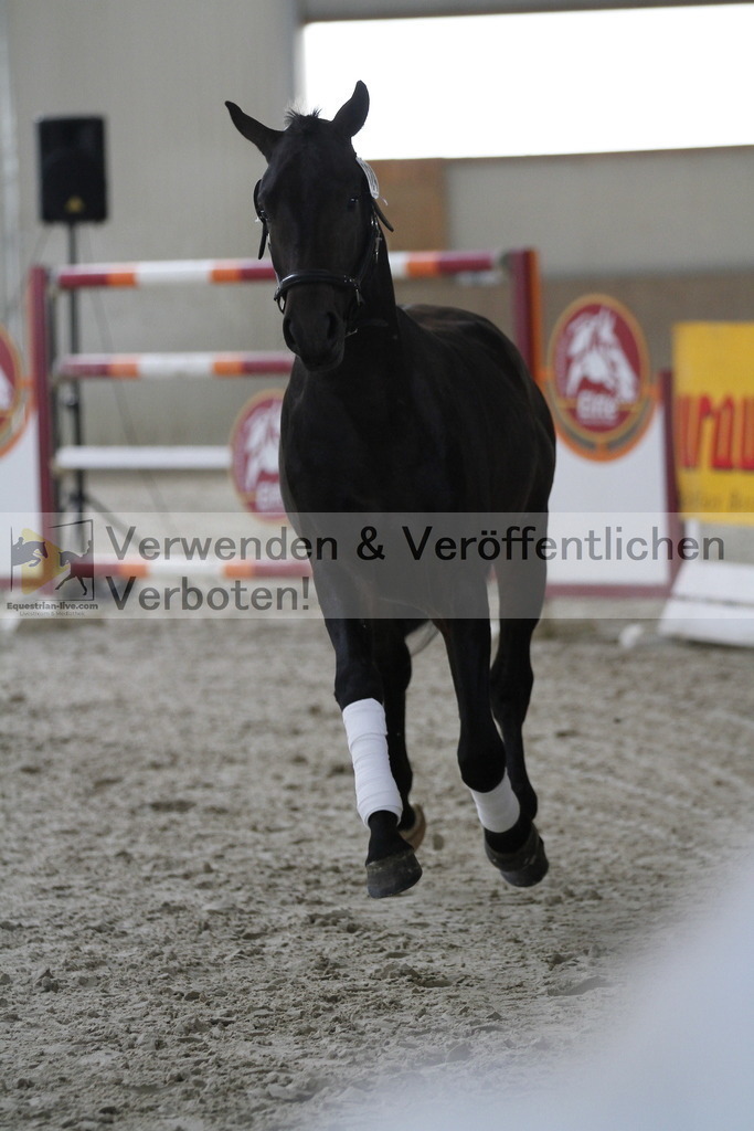 _MG_9687 | equestrian-live-com