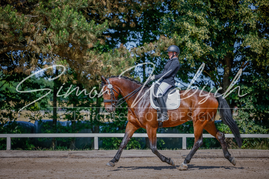 20250621-_3LI9718 | Tierfotografie Pferde, Hunde, Katzen, Haustiere.
Turnierfotografie Reitturniere, Reiten, Springreiten, Dressur in Hanau, dem Main-Kinzig-Kreis und dem Rhein-Main- Gebiet um Frankfurt