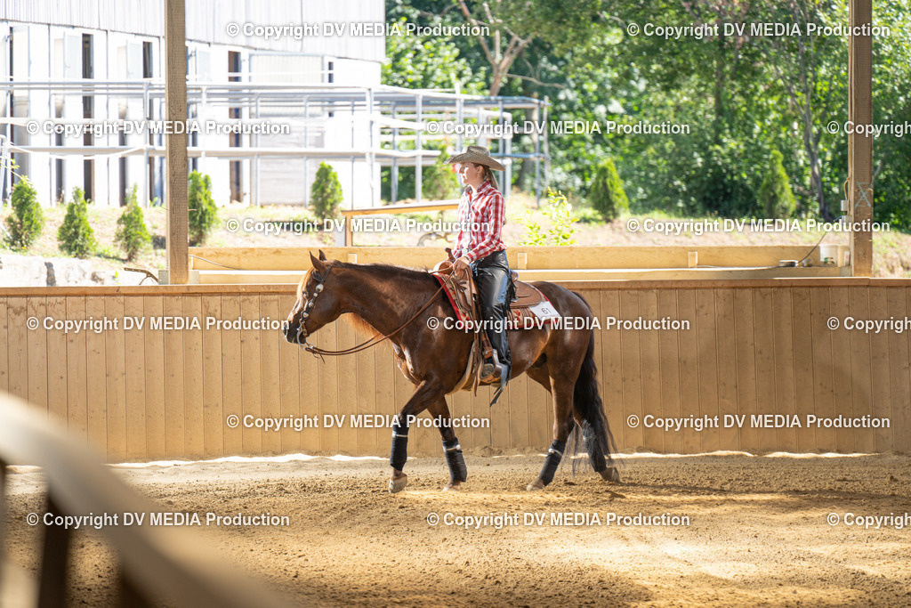 DSC00100 | dv-media-shop - Realisiert mit Pictrs.com