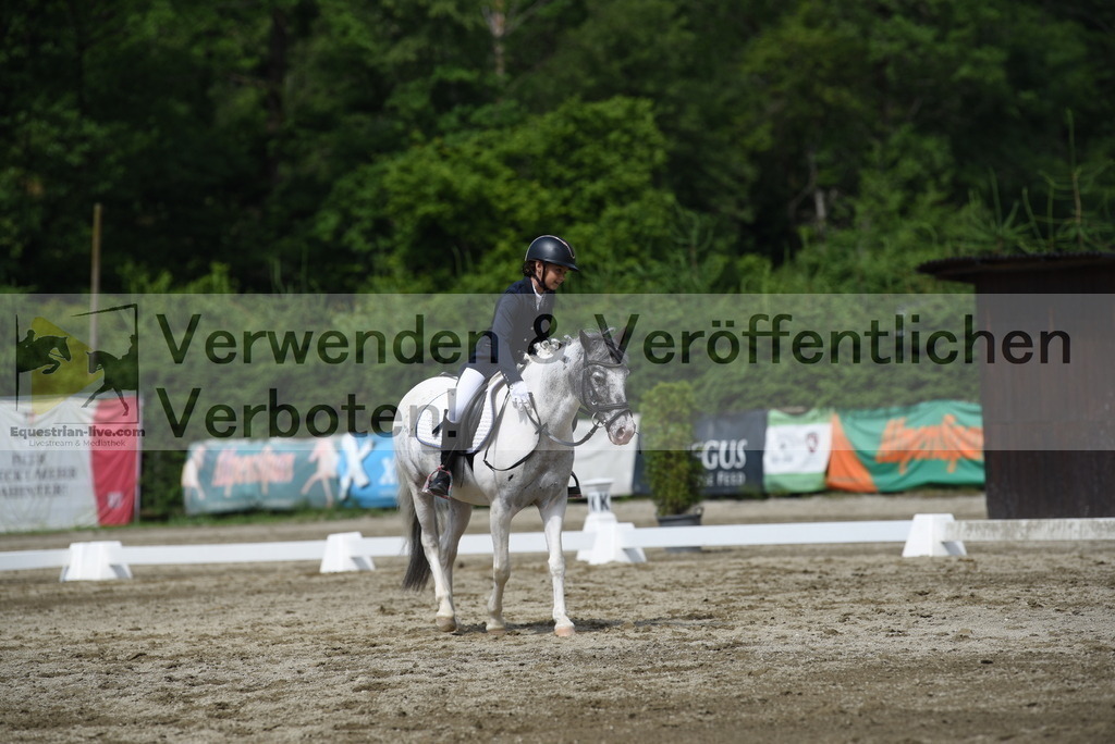 DSC_8832 | equestrian-live-com