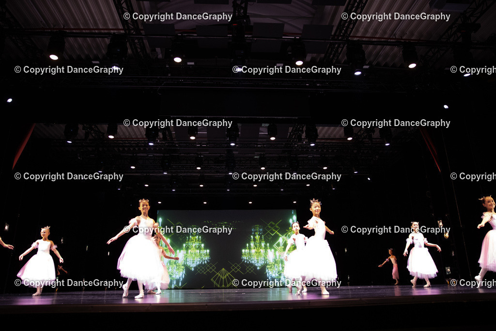 GPHY5647 | DanceGraphy - Realisiert mit Pictrs.com