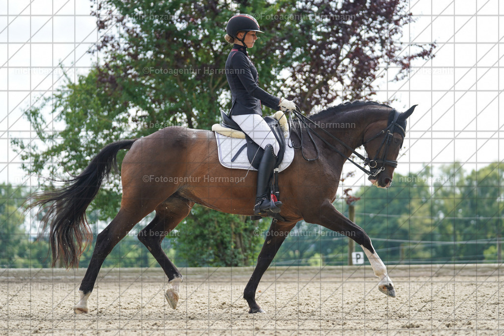 20230826-FAH05991 | Forstinning, 2023, Dressurturnier, Turniersportbilder, Turnierfotografen Bayern, Fotoagentur Herrmann, Reitsportfotografie, Turnierbilder