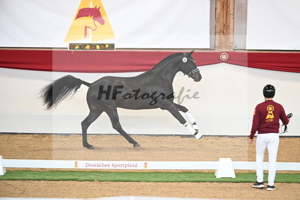 Kat.-Nr. 79 v. Taurus_Beckmann_2250355 | hf-fotografie - Realisiert mit Pictrs.com